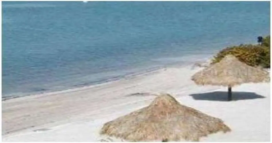 25717 Whispering Trees Way, Valencia, Los Angeles, California, United States 91355, 2 Bedrooms Bedrooms, 7 Rooms Rooms,2 BathroomsBathrooms,Rental,For Rent,Whispering Trees Way,U7557082