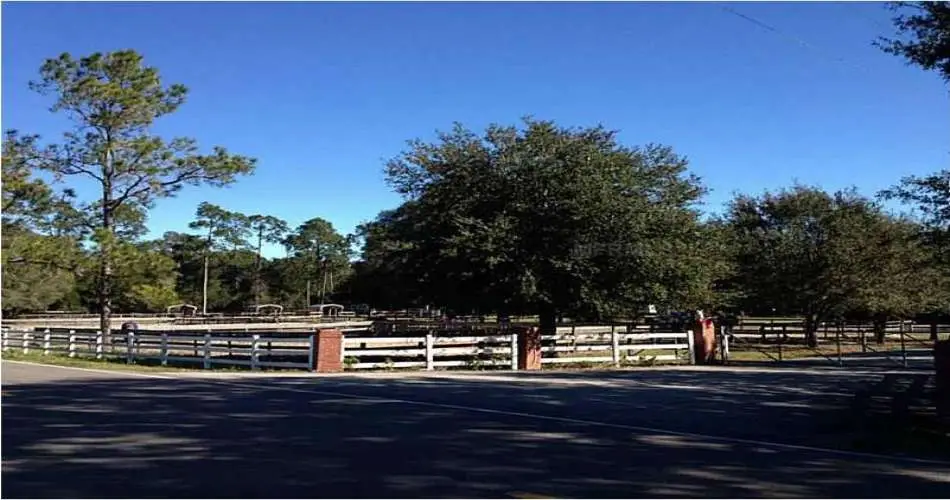 2774 Hayes Ave, Long Beach, Los Angeles, California 90810, 3 Bedrooms Bedrooms, ,2 BathroomsBathrooms,Commercial,For sale,Hayes Ave,V4646519