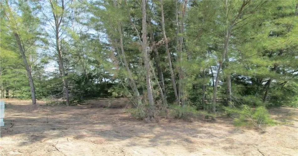 9434 Beckford Ave, Northridge, Los Angeles, California 91324, ,Vacant land,For sale,Beckford Ave,D5782335