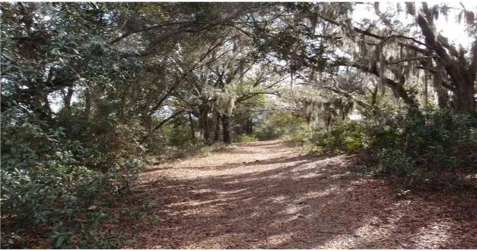 2058 Wheeler Dr, Monterey Park, California 91755, ,Vacant land,For sale,Wheeler Dr,G4692117