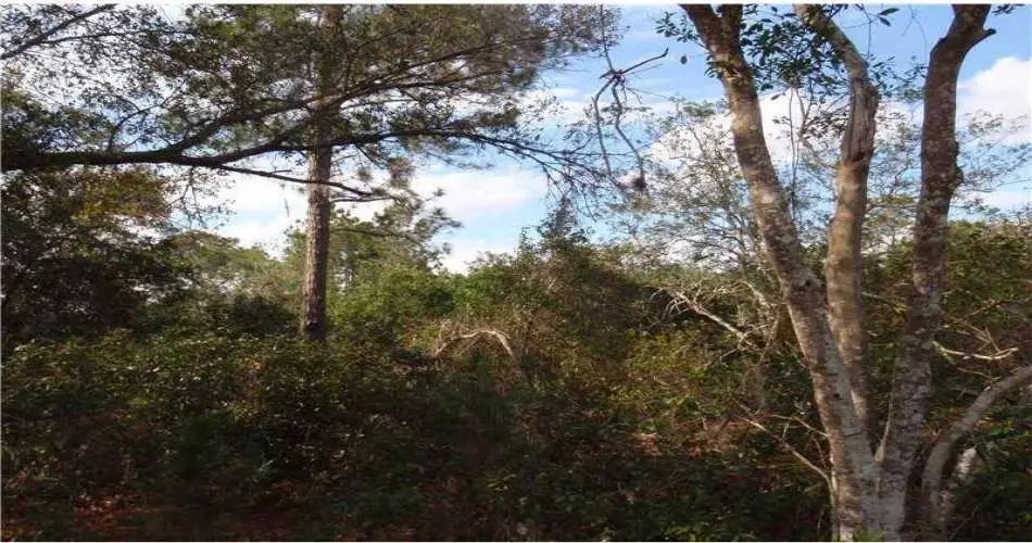 2058 Wheeler Dr, Monterey Park, California 91755, ,Vacant land,For sale,Wheeler Dr,G4692117