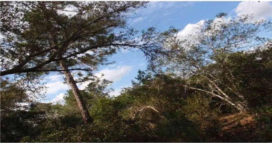 2058 Wheeler Dr, Monterey Park, California 91755, ,Vacant land,For sale,Wheeler Dr,G4692117