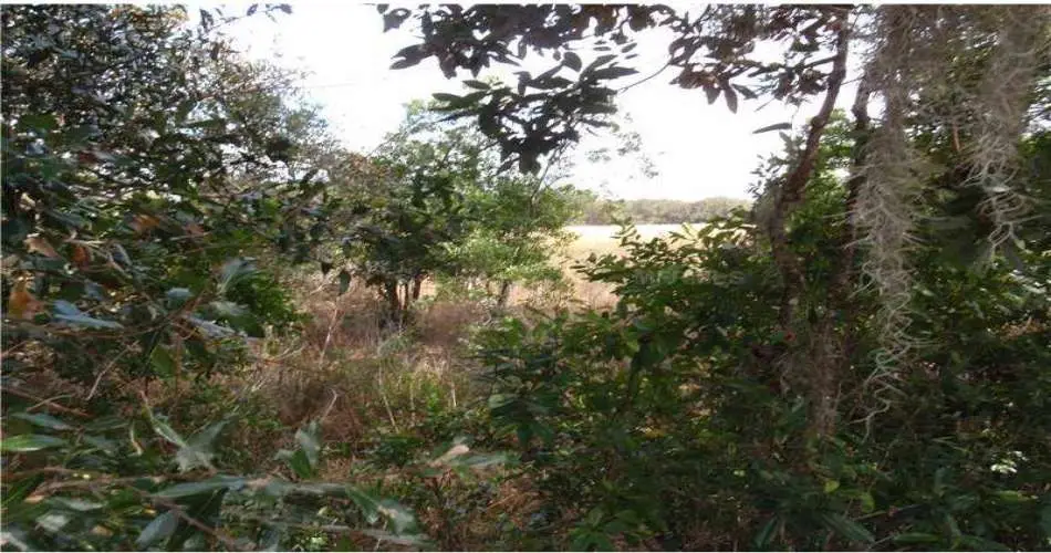 2058 Wheeler Dr, Monterey Park, California 91755, ,Vacant land,For sale,Wheeler Dr,G4692117