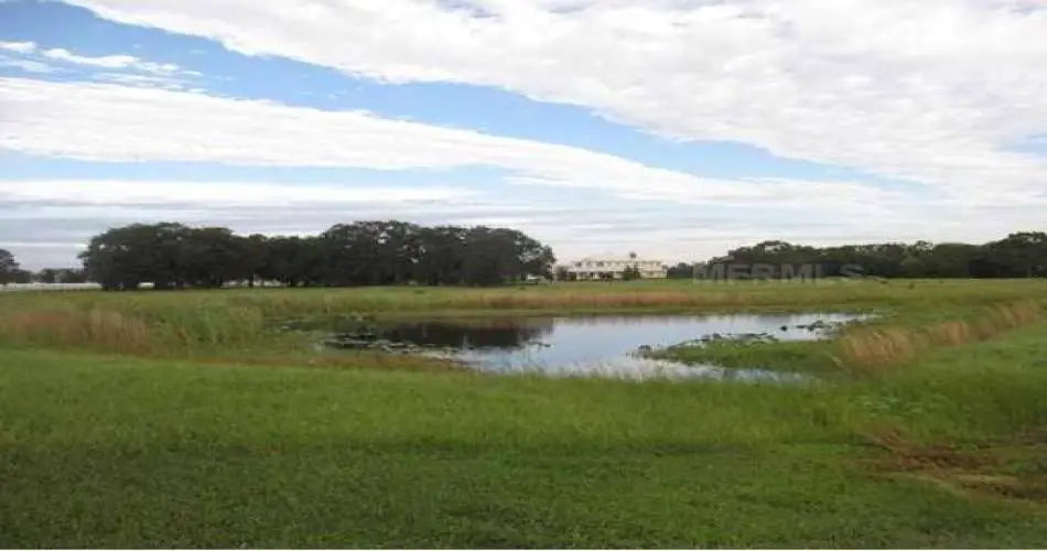 412 Tasman Ave, Pomona, California 91767, ,Vacant land,For sale,Tasman Ave,M5816463