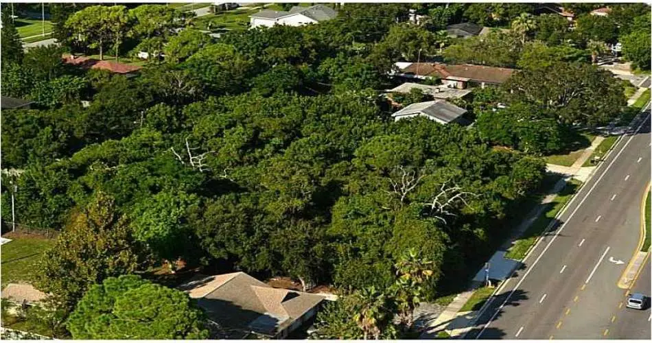 31811 41st St W, Acton, California 93510, ,Vacant land,For sale,41st St W,M5838581