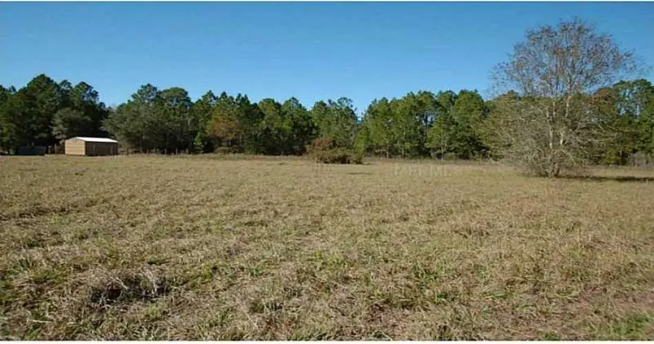 554 Cameron Crest Dr, Los Angeles, California 91765, ,Vacant land,For sale,Cameron Crest Dr,O5210181