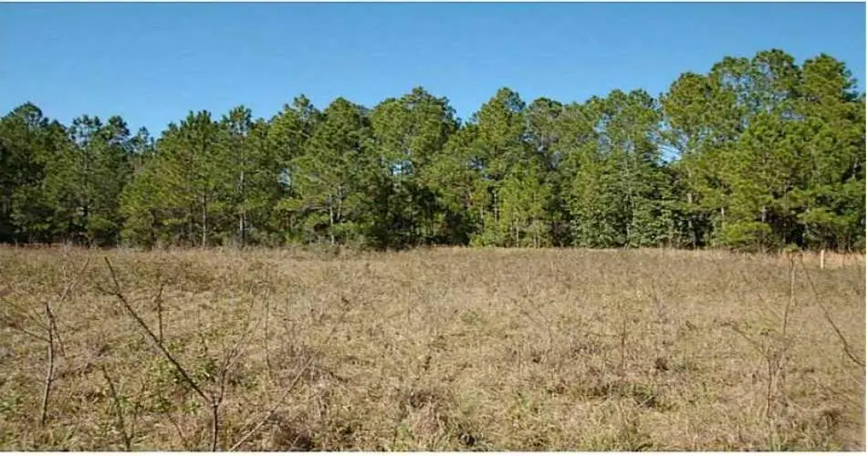 554 Cameron Crest Dr, Los Angeles, California 91765, ,Vacant land,For sale,Cameron Crest Dr,O5210181