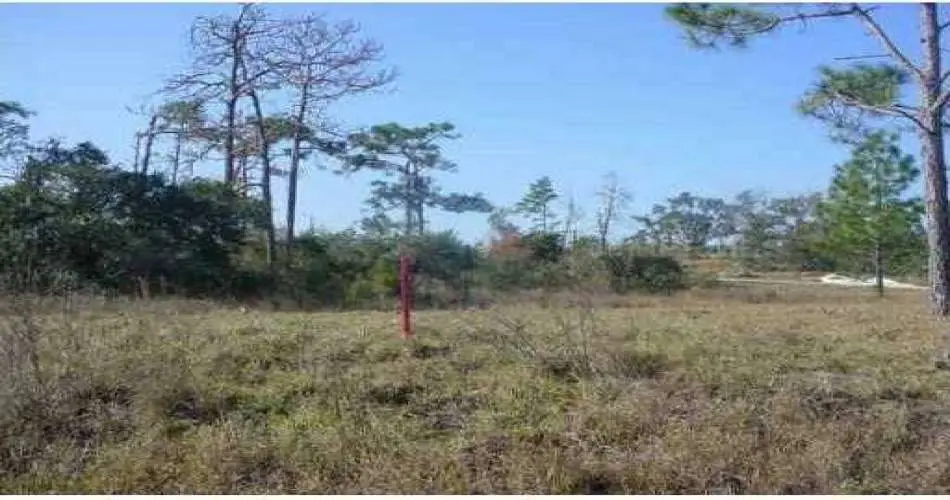 1145 Chisolm Trail Dr, Diamond Bar, California 91765, ,Vacant land,For sale,Chisolm Trail Dr,O5210528