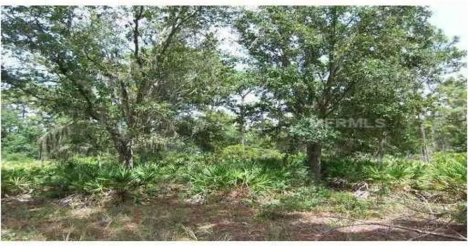 2411 Nina St, West Covina, Los Angeles, California 91792, ,Vacant land,For sale,Nina St,P4629321