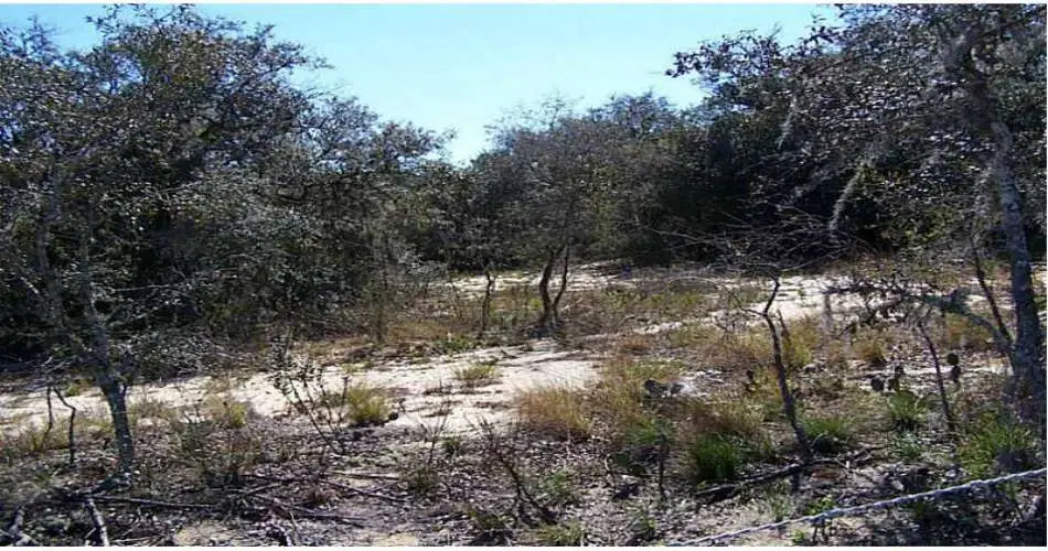 Realtyna, 3940 Josephine St, Lynwood, Los Angeles, California 90262, ,Vacant land,For sale,Josephine St,P4629353