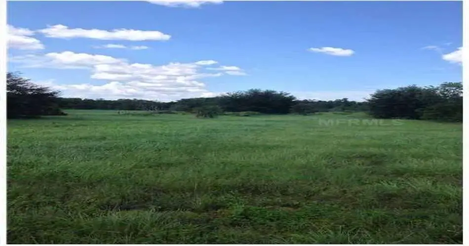 1364 Toberman St, Los Angeles, California 90015, ,Vacant land,For sale,Toberman St,S4716884