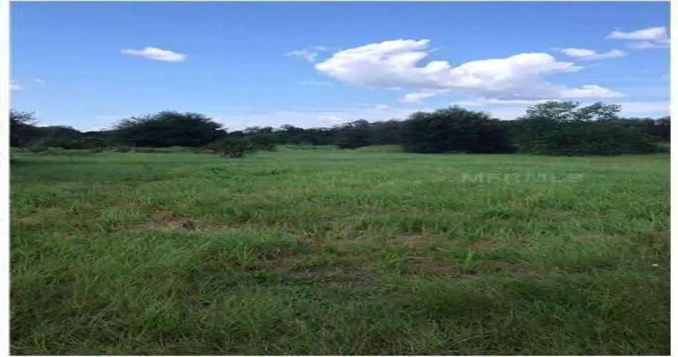 1364 Toberman St, Los Angeles, California 90015, ,Vacant land,For sale,Toberman St,S4716884