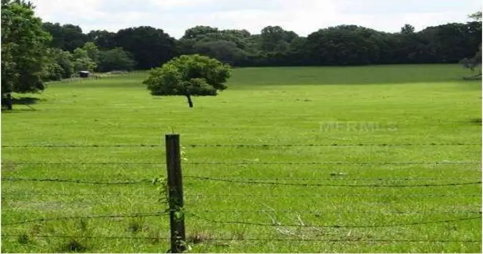 28630 Cruthers Creek Rd, Pearlblossom, Los Angeles, California 93553, ,Vacant land,For sale,Cruthers Creek Rd,T2420719