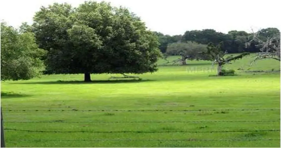 28630 Cruthers Creek Rd, Pearlblossom, Los Angeles, California 93553, ,Vacant land,For sale,Cruthers Creek Rd,T2420719