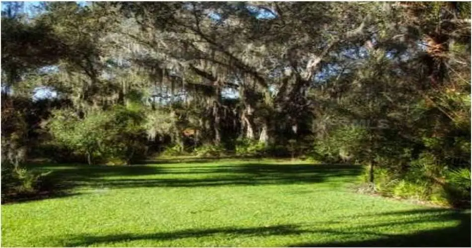 1196 Innes Ave, Los Angeles, Los Angeles, California, United States 90026, 3 Bedrooms Bedrooms, ,3 BathroomsBathrooms,Residential,For sale,Innes Ave,A3956080