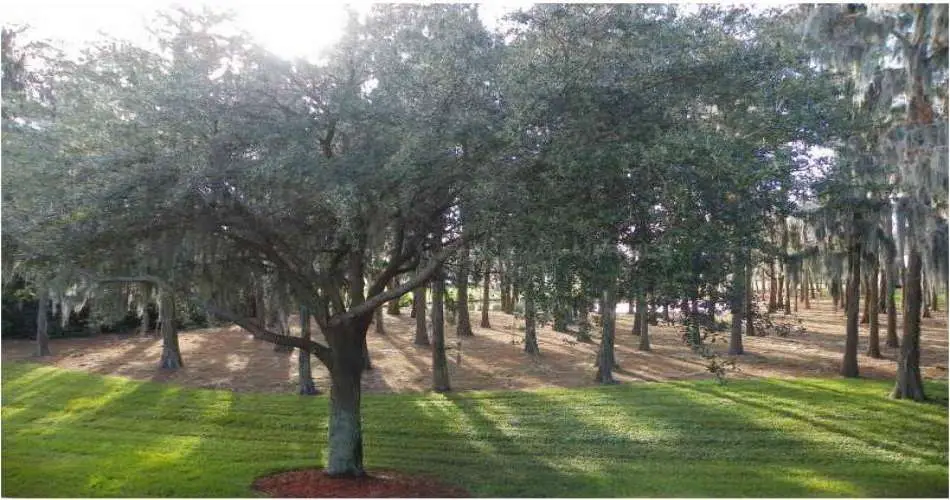 132 N Hobart Blvd, Los Angeles, Los Angeles, California 90004, 2 Bedrooms Bedrooms, ,2 BathroomsBathrooms,Residential,For sale,N Hobart Blvd,U7607636