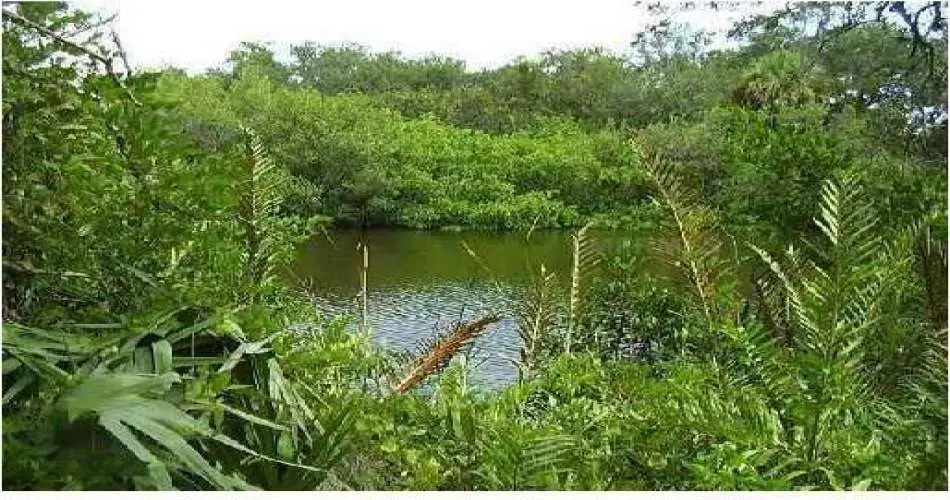 4224 Bakman Ave, North Hollywood, Los Angeles, California 91602, ,Vacant land,For sale,Bakman Ave,A356253