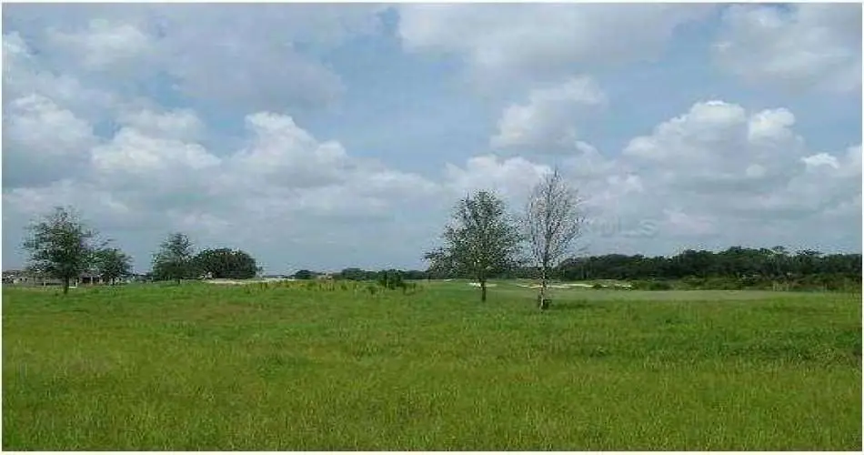 2715 Scott Rd, Burbank, Los Angeles, California 91504, ,Vacant land,For sale,Scott Rd,A356458