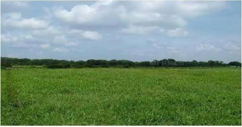 2715 Scott Rd, Burbank, Los Angeles, California 91504, ,Vacant land,For sale,Scott Rd,A356458