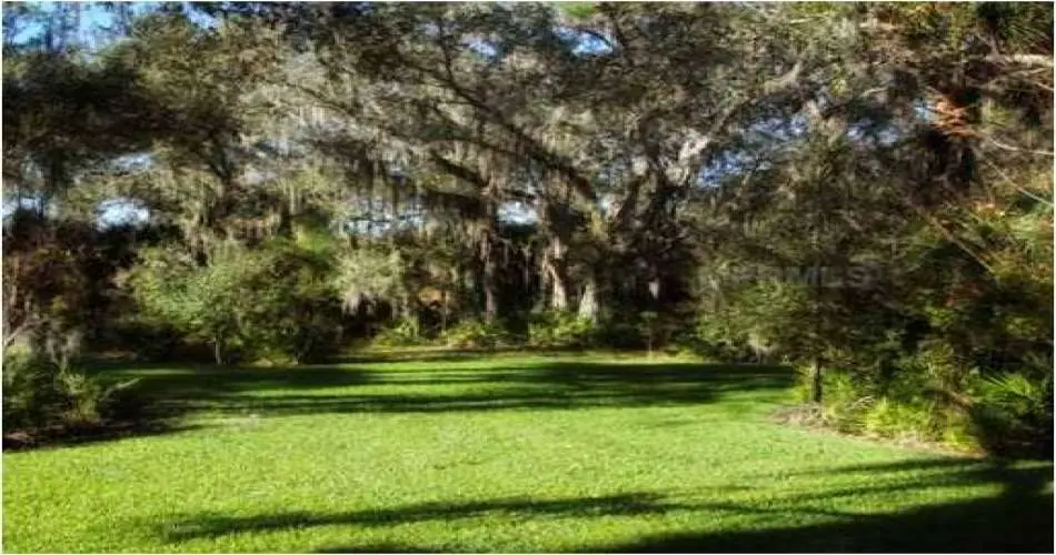 Realtyna, 124 E Spruce Ave, Inglewood, Los Angeles, California 90301, ,Vacant land,For sale,E Spruce Ave,A3959183