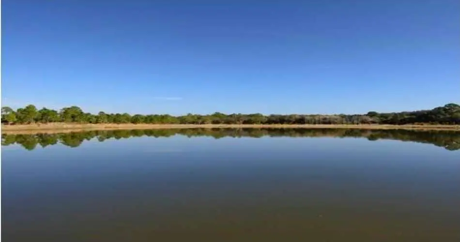 Realtyna, 124 E Spruce Ave, Inglewood, Los Angeles, California 90301, ,Vacant land,For sale,E Spruce Ave,A3959183