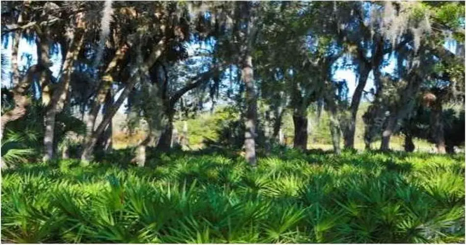 Realtyna, 124 E Spruce Ave, Inglewood, Los Angeles, California 90301, ,Vacant land,For sale,E Spruce Ave,A3959183