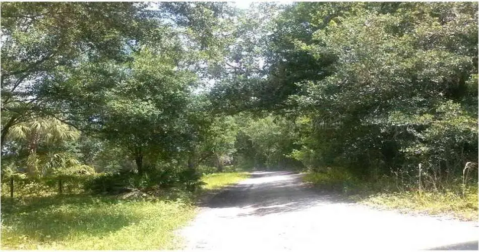 974 Haverford Ave, Pacific Palisades, Los Angeles, California, United States 90272, ,Vacant land,For sale,Haverford Ave,A3978841