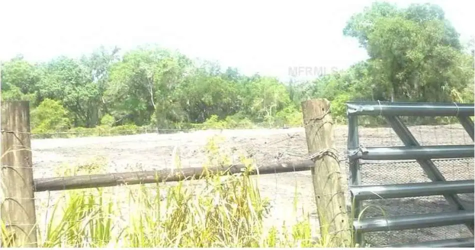 974 Haverford Ave, Pacific Palisades, Los Angeles, California, United States 90272, ,Vacant land,For sale,Haverford Ave,A3978841