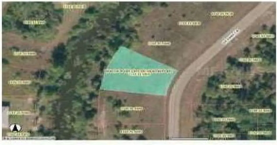 3919 Myrtle Avenue, Long Beach, Los Angeles, California 90807, ,Vacant land,For sale,Myrtle Avenue,C690966