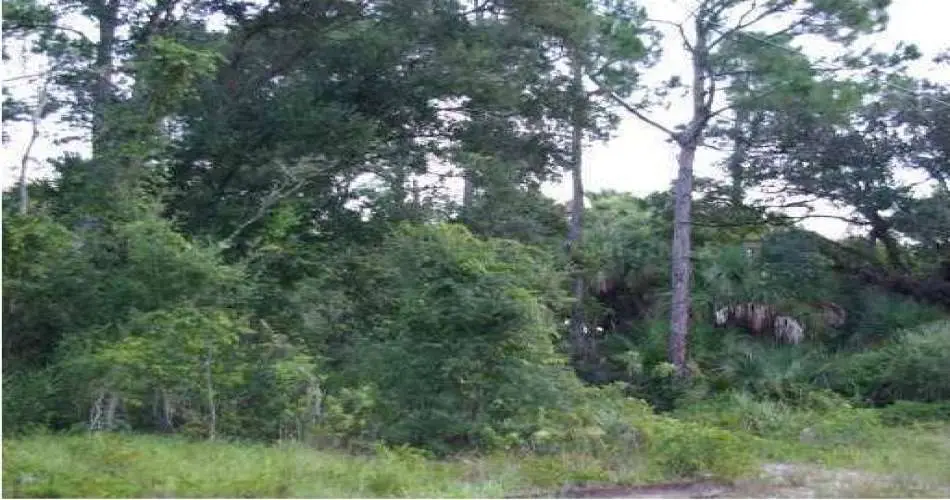 10646 Sunnybrook Ln, Whittier, Los Angeles, California, United States 90604, ,Vacant land,For sale,Sunnybrook Ln,C6993516