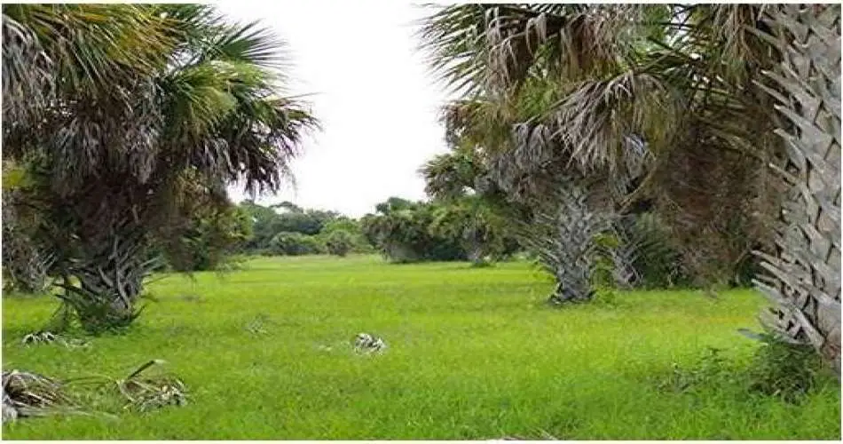 1659 Casa Grande St, Pasadena, Los Angeles, California 91104, ,Vacant land,For sale,Casa Grande St,C7015519