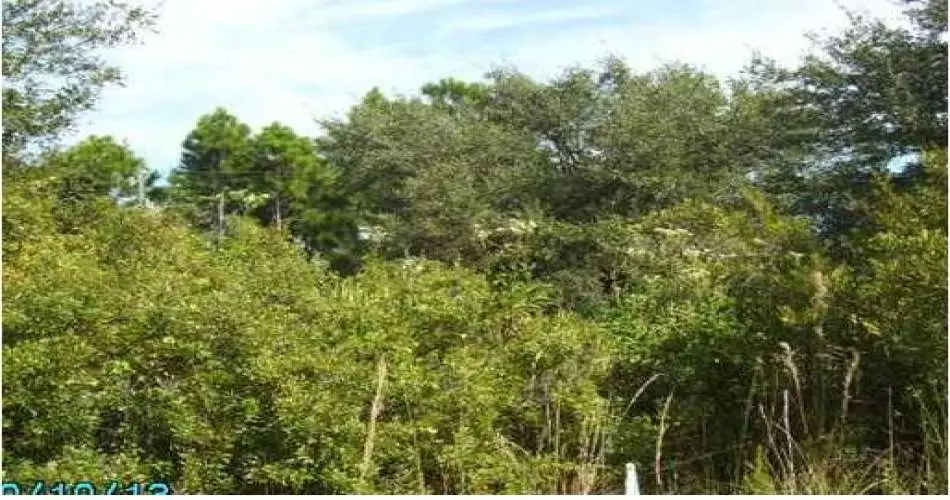 830 E 95th St, Los Angeles, Los Angeles, California, United States 90002, ,Vacant land,For sale,E 95th St,C7023879