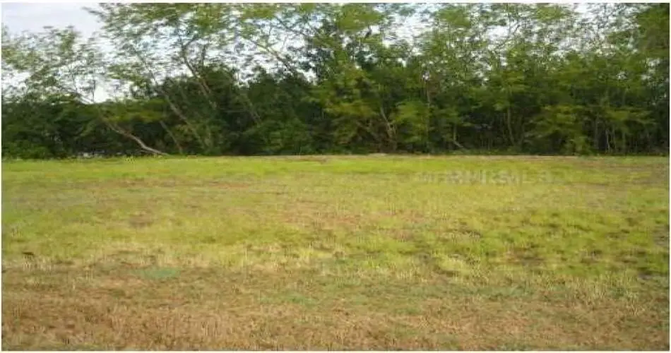 809 Orrington Ave, La Puente, Los Angeles, California 91744, ,Vacant land,For sale,Orrington Ave,C7036176