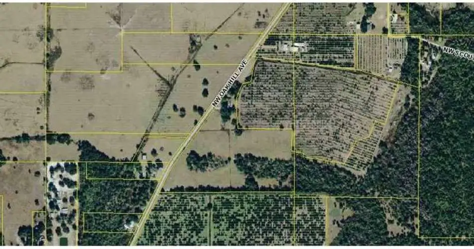 343 W 13th St, San Pedro, Los Angeles, California 90731, ,Vacant land,For sale,W 13th St,C7040509