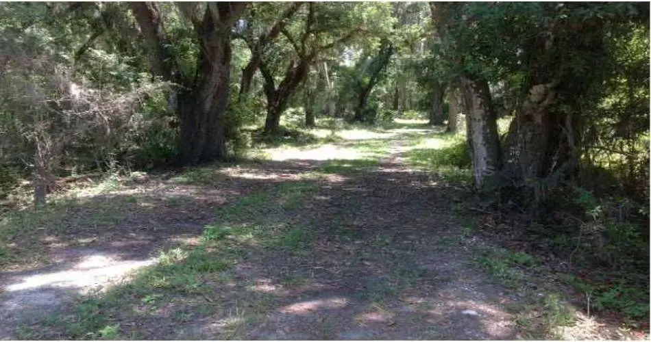 822 E Acacia Ave, Glendale, Los Angeles, California 91205, ,Vacant land,For sale,E Acacia Ave,C7043781
