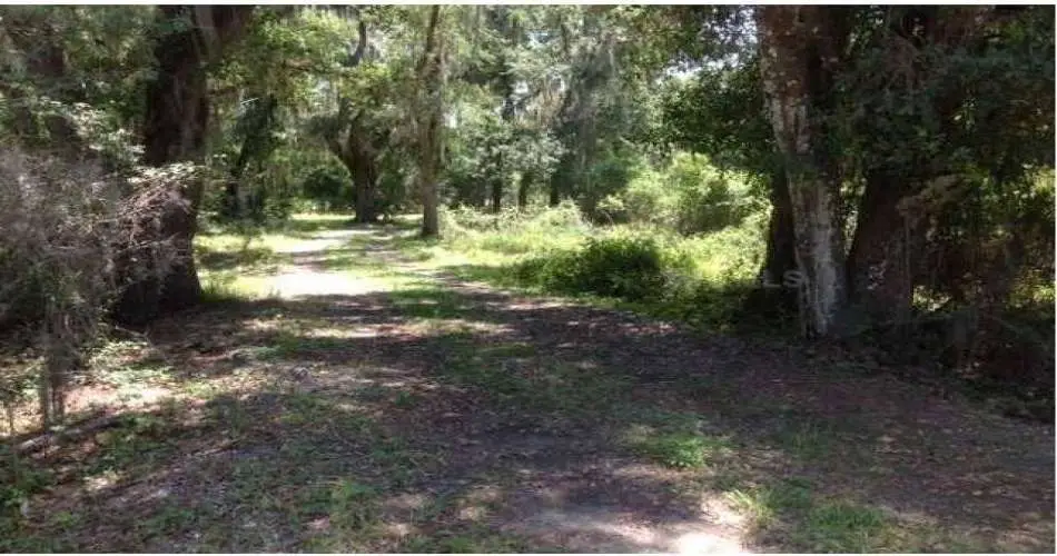 822 E Acacia Ave, Glendale, Los Angeles, California 91205, ,Vacant land,For sale,E Acacia Ave,C7043781