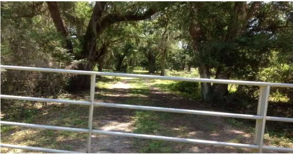 822 E Acacia Ave, Glendale, Los Angeles, California 91205, ,Vacant land,For sale,E Acacia Ave,C7043781