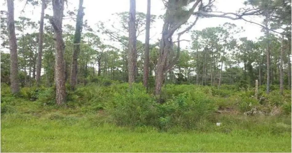 21009 Oakriver Ln, Newhall, California 91321, ,Vacant land,For sale,Oakriver Ln,C7044183