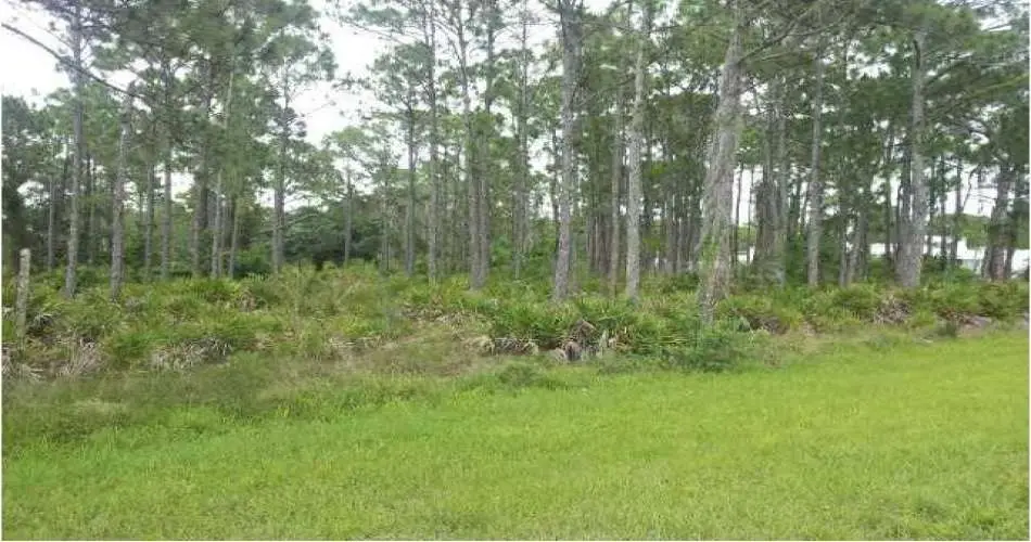 21009 Oakriver Ln, Newhall, California 91321, ,Vacant land,For sale,Oakriver Ln,C7044183