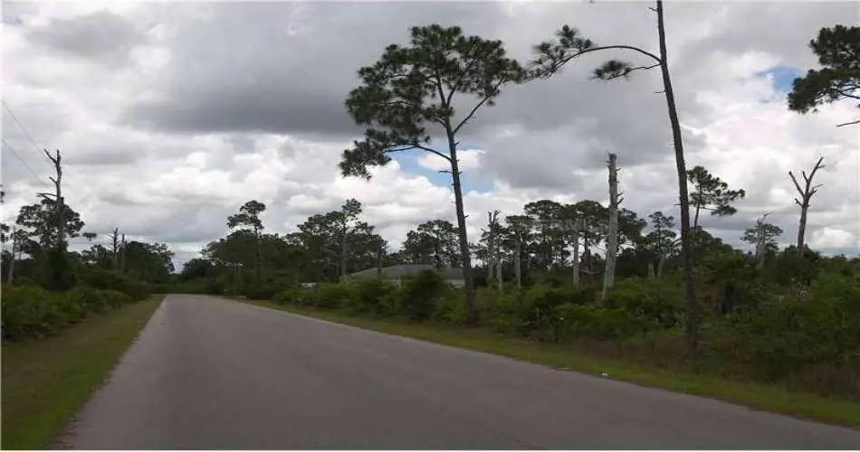 7315 Elsie St, Los Angeles, Los Angeles, California 90001, ,Vacant land,For sale,Elsie St,C7044408