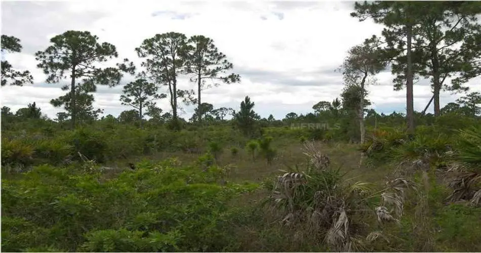 7315 Elsie St, Los Angeles, Los Angeles, California 90001, ,Vacant land,For sale,Elsie St,C7044408