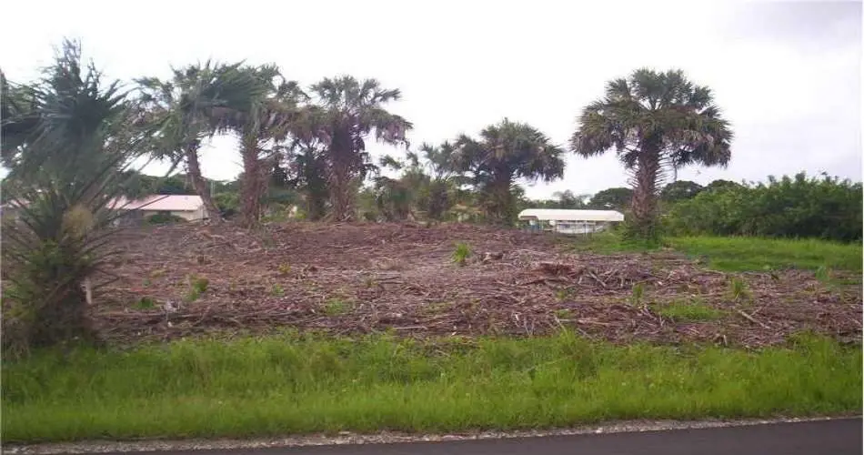 6556 Manzanita Dr, Palmdale, California 93551, ,Vacant land,For sale,Manzanita Dr,C7046923