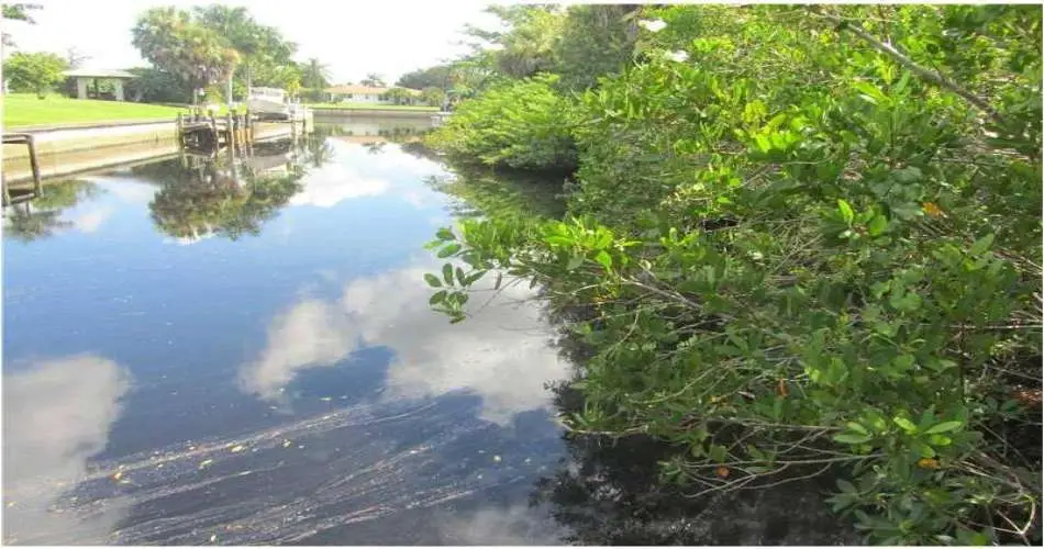 337 E Algrove St, Covina, California 91723, ,Vacant land,For sale,E Algrove St,C7046992