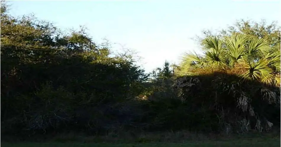 223 E Hyde Park Blvd, Inglewood, Los Angeles, California 90302, ,Vacant land,For sale,E Hyde Park Blvd,C7052410