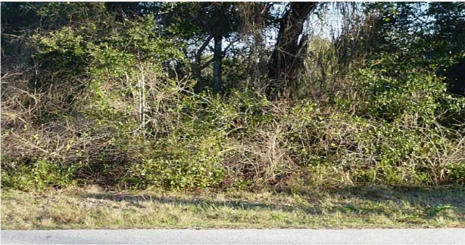 11603 Glenworth St, Santa Fe Springs, Los Angeles, California, United States 90670, ,Vacant land,For sale,Glenworth St,C7052468