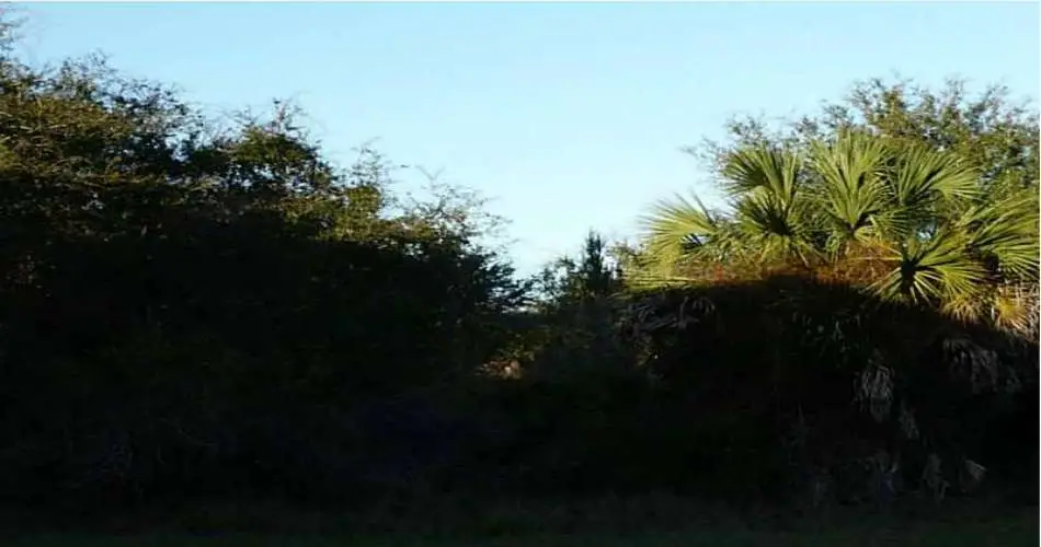 11603 Glenworth St, Santa Fe Springs, Los Angeles, California, United States 90670, ,Vacant land,For sale,Glenworth St,C7052468