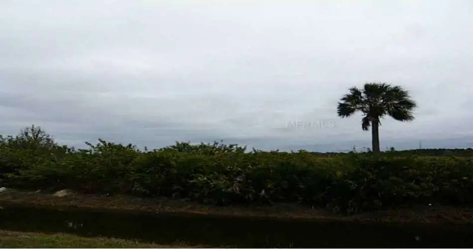 47 Seaview Terrace, Santa Monica, California 90401, ,Vacant land,For sale,Seaview Terrace,C7052583