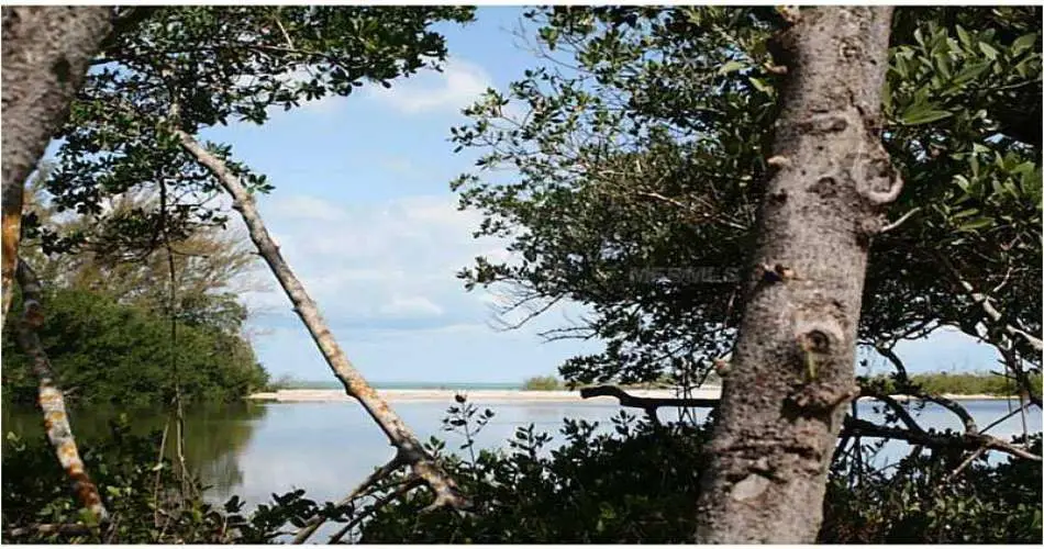 2132 Desire Ave, Rowland Heights, Los Angeles, California 91748, ,Vacant land,For sale,Desire Ave,D5792624