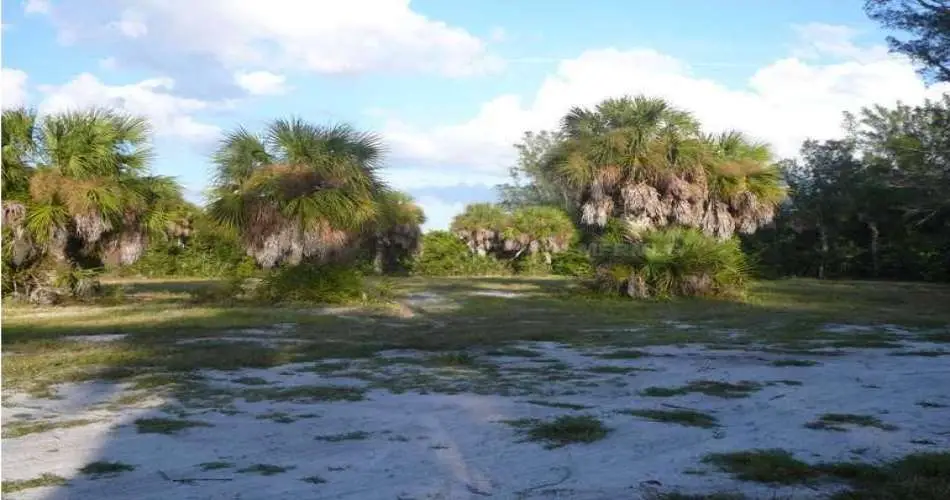 City of Industry, Los Angeles, California 91716, ,Vacant land,For sale,D5792712