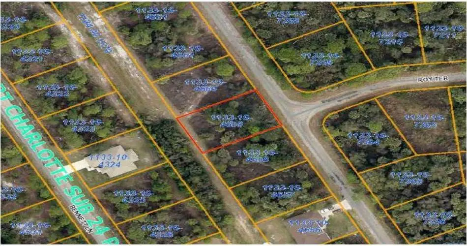 Realtyna, 887 E 41st Pl, Los Angeles, Los Angeles, California 90011, ,Vacant land,For sale,E 41st Pl,D5794224